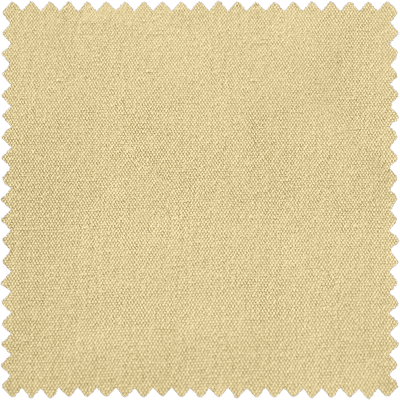 #1 Sunflower-Capri - Cololeaf