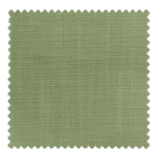 #29 Olive-1908 - Cololeaf