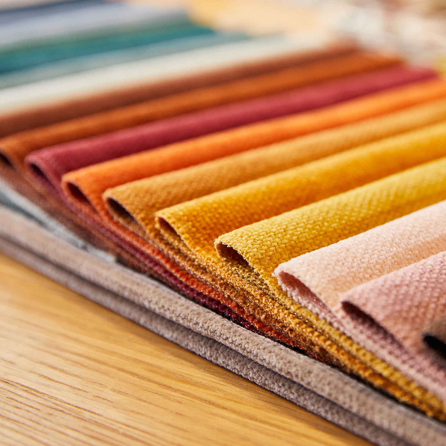 Cololeaf