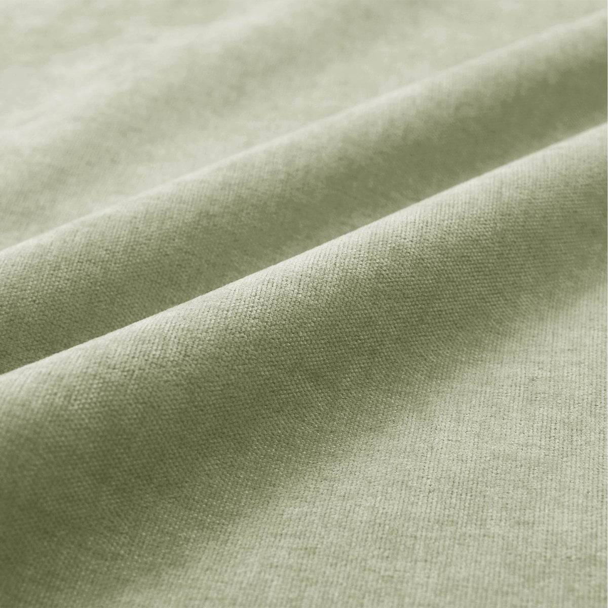#15 Green Tint-1041 - Cololeaf