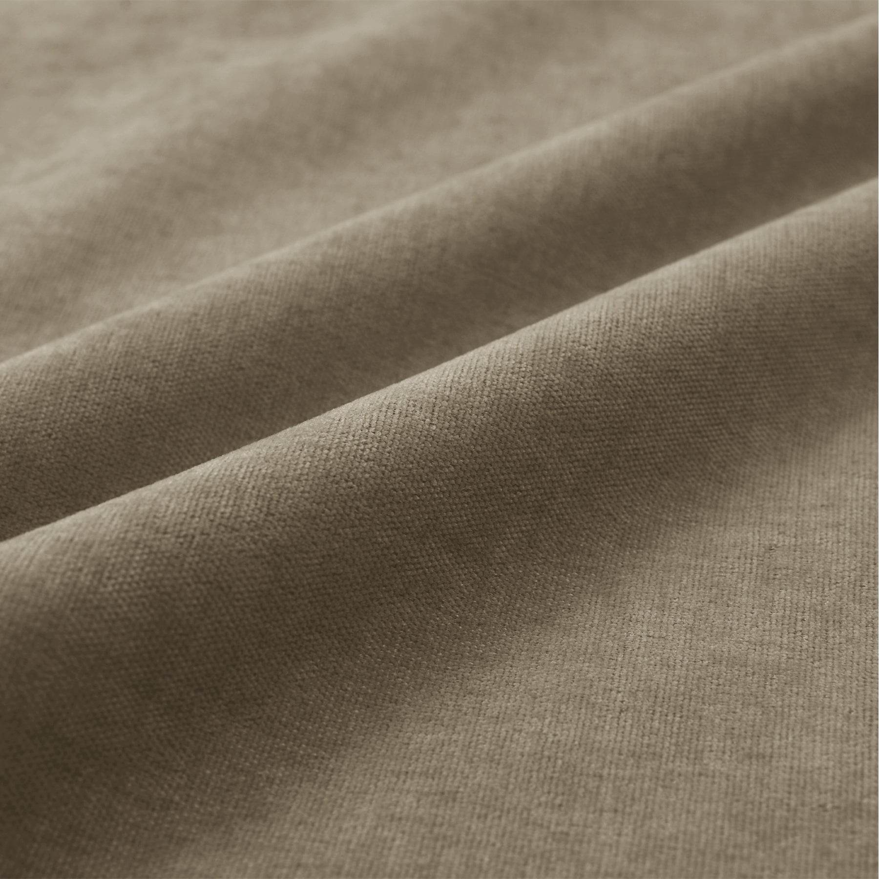 #24 Palm-1041 - Cololeaf