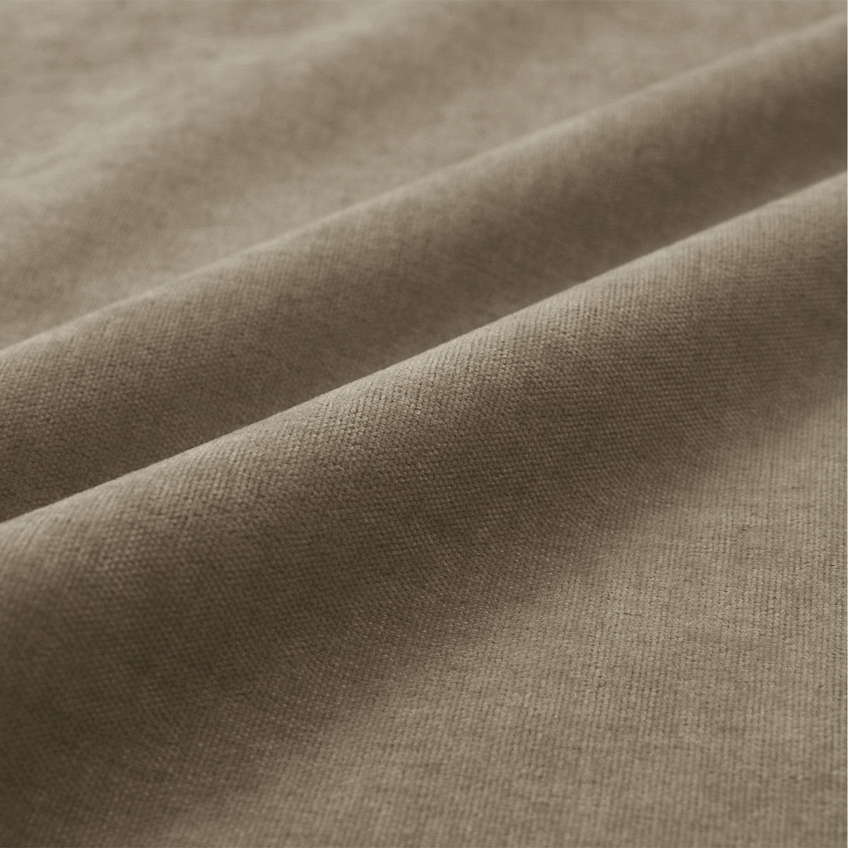 #24 Palm-1041 - Cololeaf