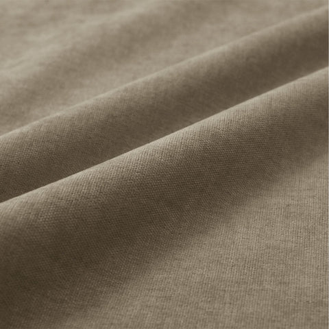 #24 Palm-1041 - Cololeaf
